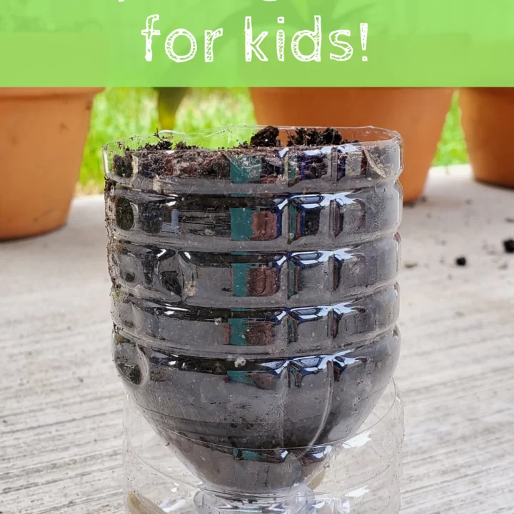 Image for Seed Planters - Recycling Project for Kids