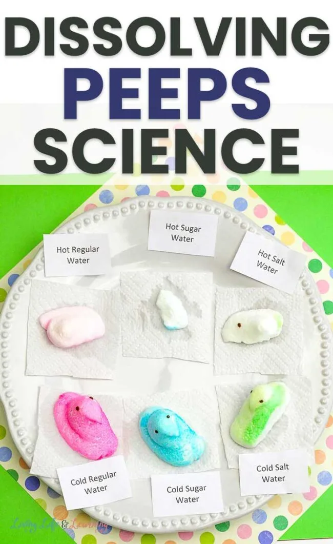 Image for Simple Dissolving Peeps Science Experiment