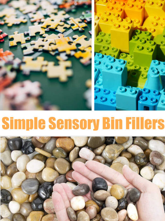 Simple Sensory Bin Fillers Web Stories