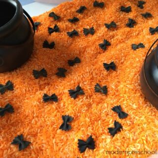 Image for Black Bat Sensory Bin