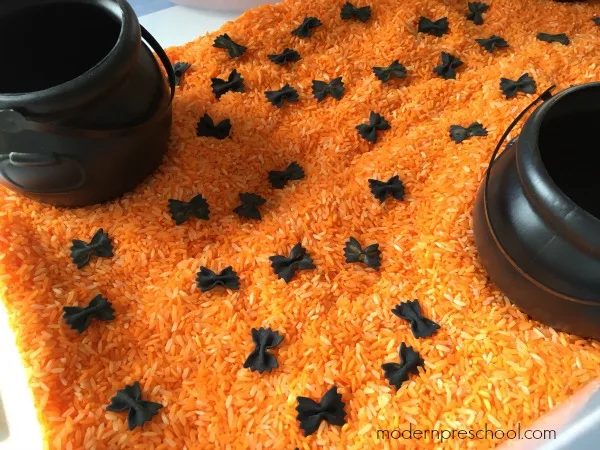 Image for Black Bat Sensory Bin
