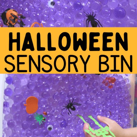 Image for Purple Halloween Sensory Bin