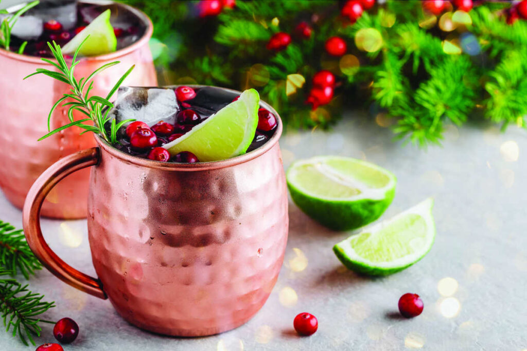 christmas holiday moscow mule with fresh cranberries and lime