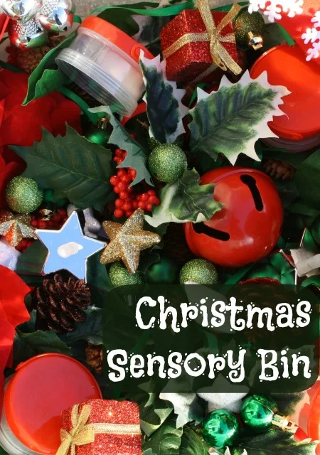 Image for Christmas Sensory Bin