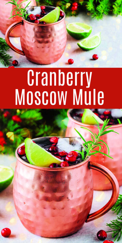 For a fruit-flavored mix, this Cranberry Moscow Mule offers a sweet spin on the classic cocktail. Break out your favorite copper mug and let the cranberries and cinnamon sticks add festive flair to your fusion of vodka and ginger beer.