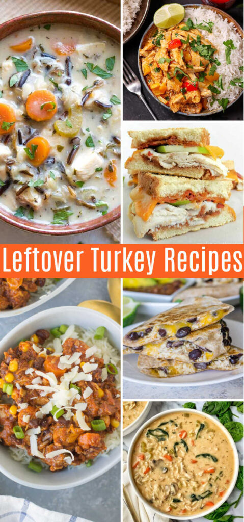 Leftover Turkey Recipes | Mommy Evolution