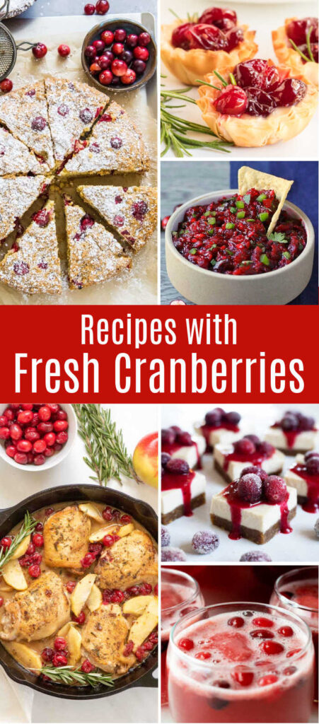 Cranberry season is in full swing! Celebrate the holidays and wintertime with Recipes Using Fresh Cranberries.