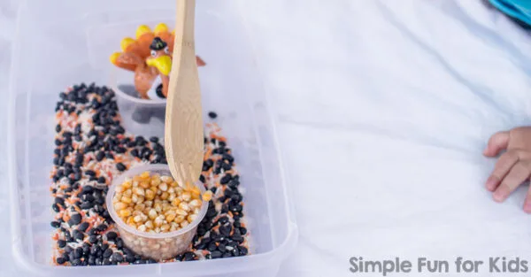 Image for Simple Thanksgiving Sensory Bin