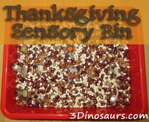 Image for Thanksgiving Sensory Bin – The Very First Thanksgiving Day