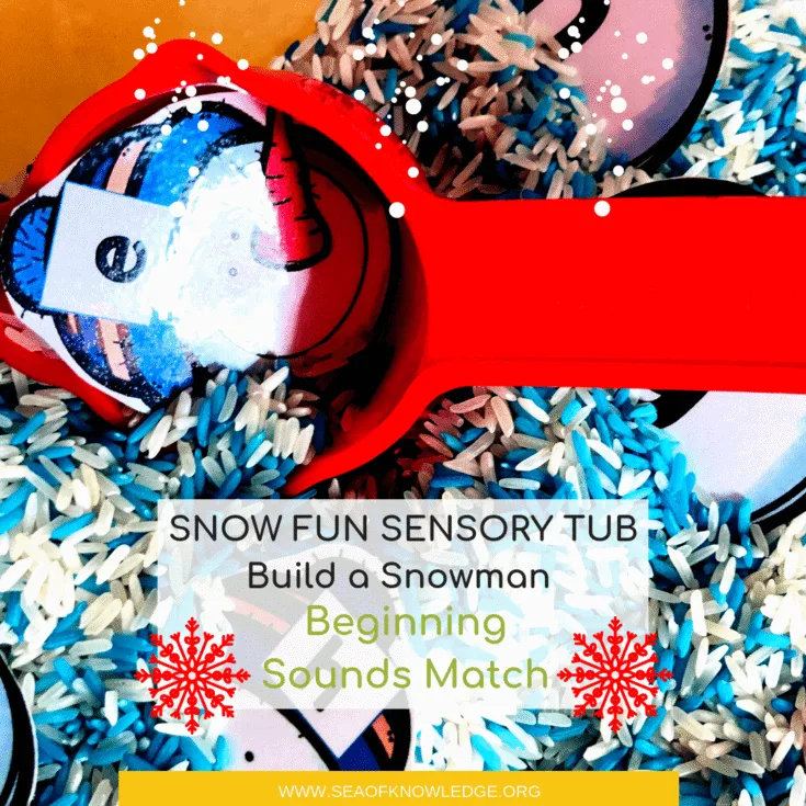 Image for Winter Beginning Sounds Activities Build a Snowman Sensory Rice Tub