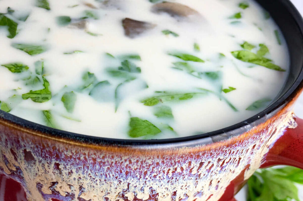 close up of creamy mushroom soup