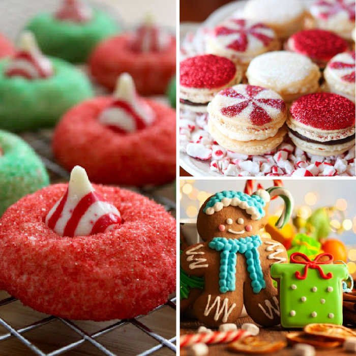 fun sugar and spice cookies for christmas
