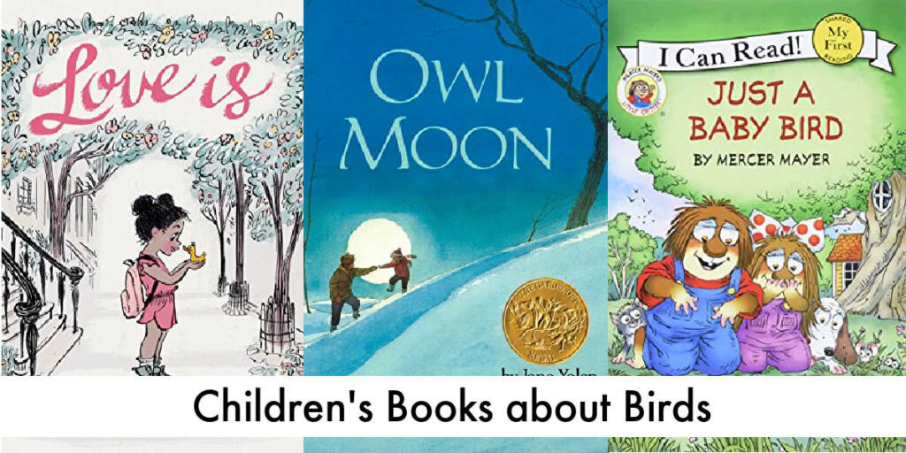 Children's books about birds
