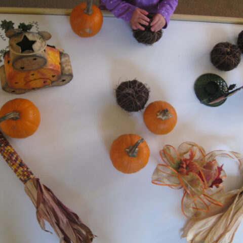 Image for Halloween Sensory Table
