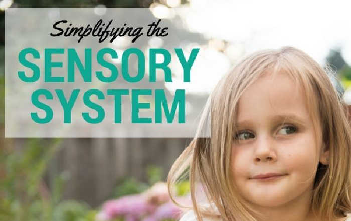Simplifying the Sensory System