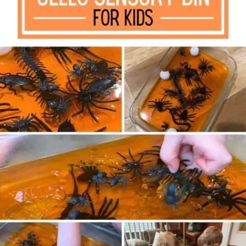Image for Halloween Jello Sensory Dig