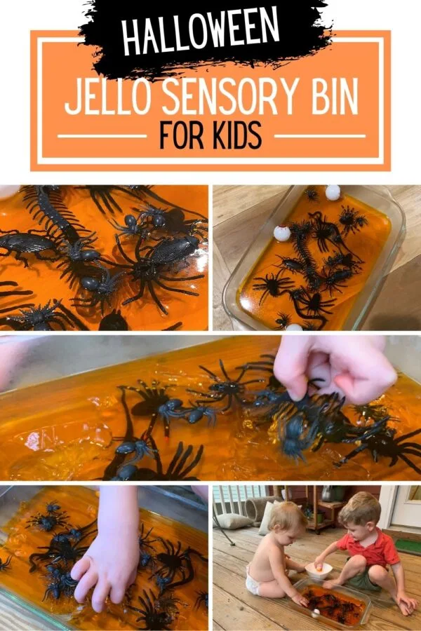 Image for Halloween Jello Sensory Dig