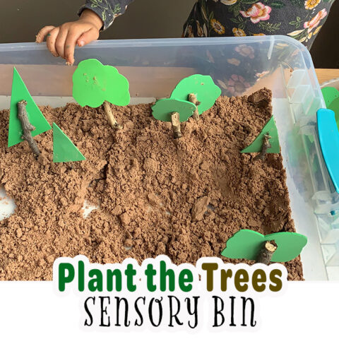 Image for Plant the Trees Sensory Bin for Earth Day