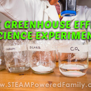 Image for The Greenhouse Effect Experiment