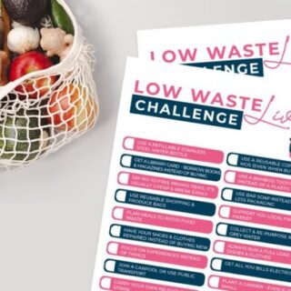 Image for Low Waste Earth Day Challenge Printable