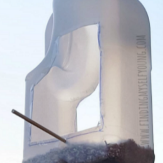 Image for How to make a DIY Recycled Bird Feeder