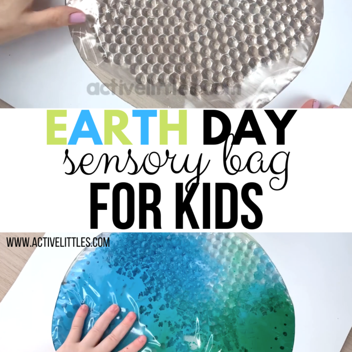 Image for Earth Day Sensory Bag for Kids