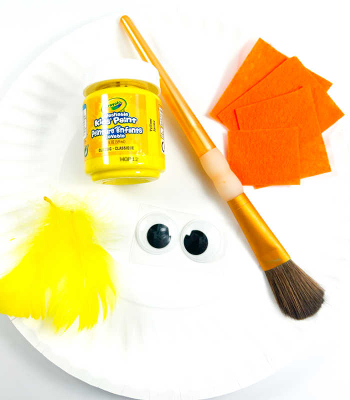 paper plate chick supplies