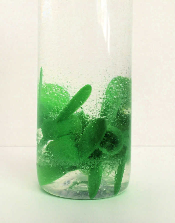 recycled plastic sensory bottle