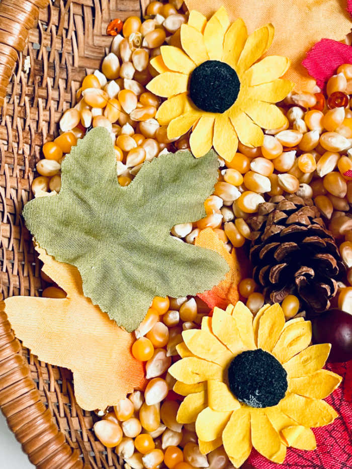 Step into the enchanting world of fall with our captivating Fall Leaf Sensory Bin! Overflowing with the vibrant colors and textures of autumn, this sensory experience is designed to delight and engage the senses. 