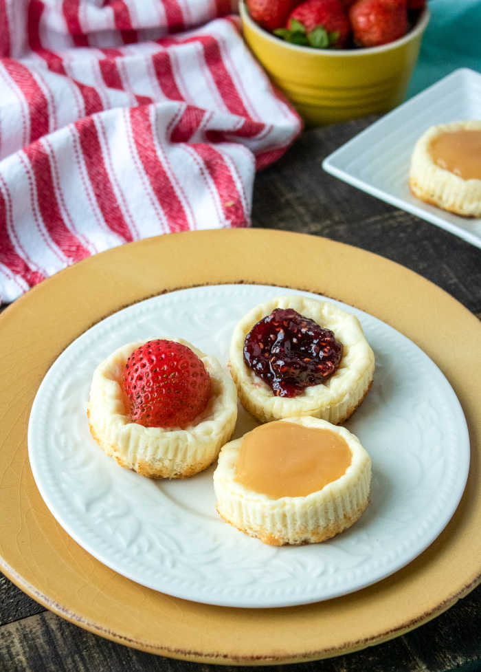 Get ready to experience pure bite-sized bliss with our Cheesecake Bites!  These delectable morsels are the epitome of indulgence in a conveniently small package.