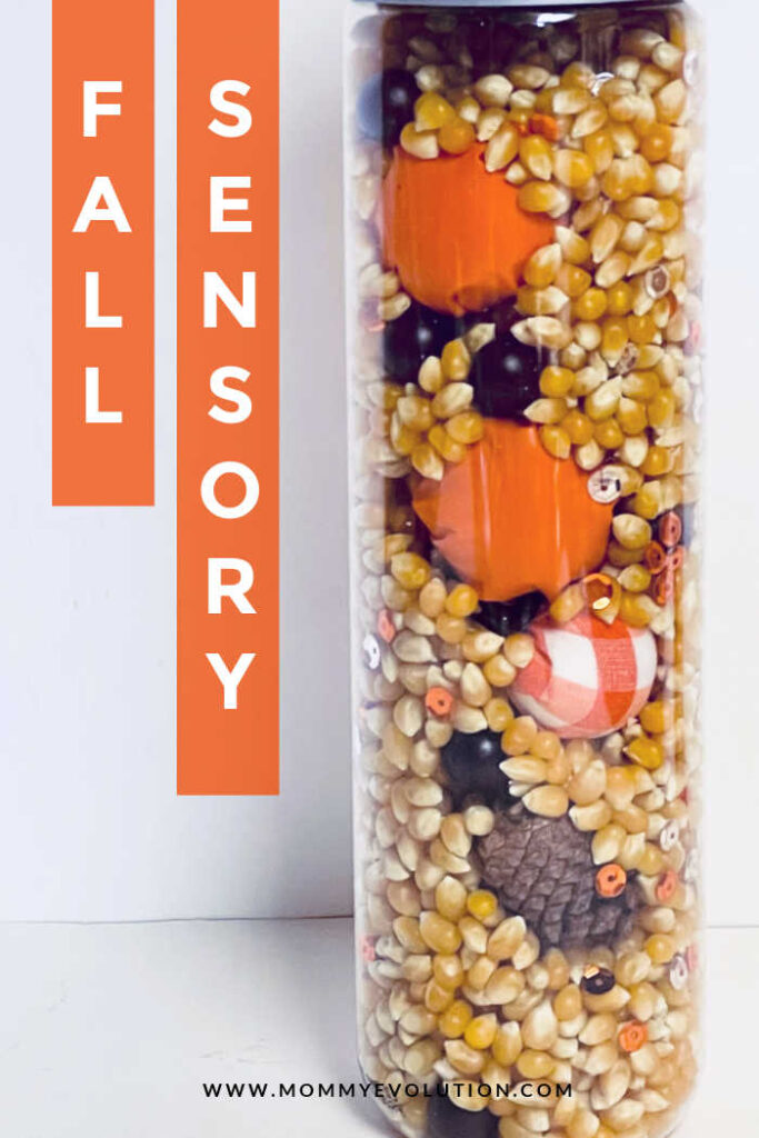 Filled with a delightful blend of popcorn kernels, faux leather mini pumpkins, checkered pumpkins, gold-colored sequins, mini pinecones and mini red berries, this fall sensory bottle is your ticket to experiencing the essence of fall like never before.