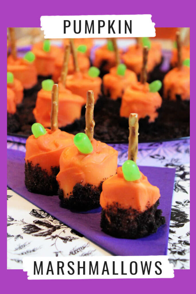 Prepare to embark on a delightful journey to a pumpkin patch like no other with our Pumpkin Marshmallows in Oreo Dirt! 
These whimsical treats are a perfect fusion of creativity and deliciousness, making them an ideal addition to your Halloween or fall-themed celebrations.