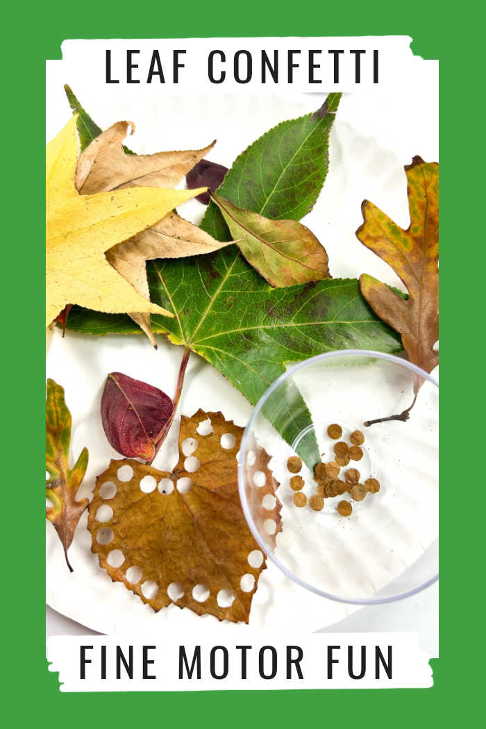 Fall Leaf Confetti Fine Motor Activity