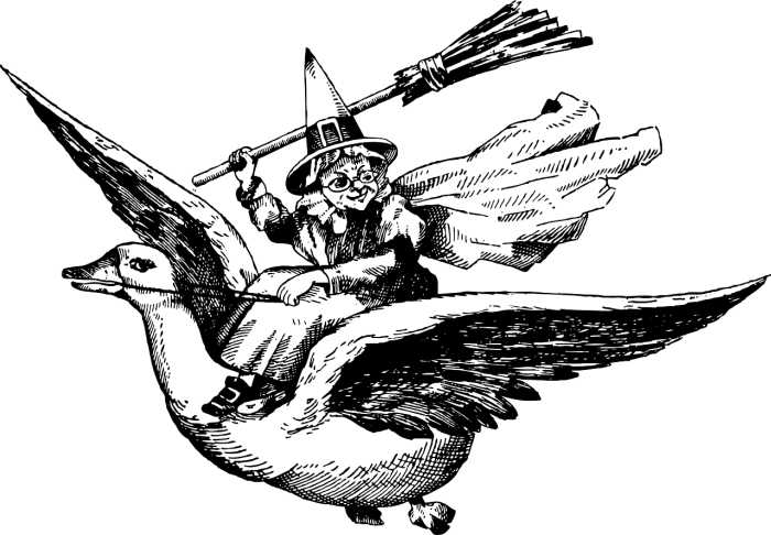 vintage drawing of mother goose as a witch riding on a goose