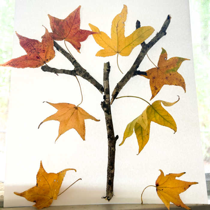 completed fall sensory craft using real branches and leaves