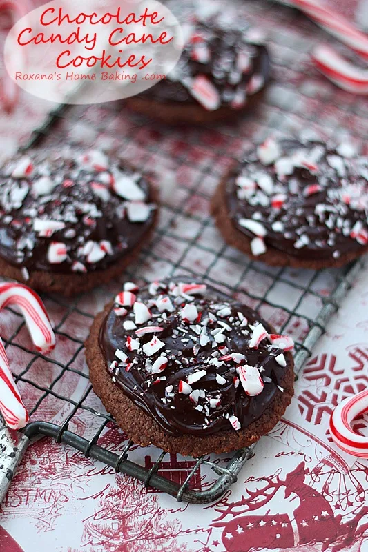 Image for Chocolate candy cane cookies