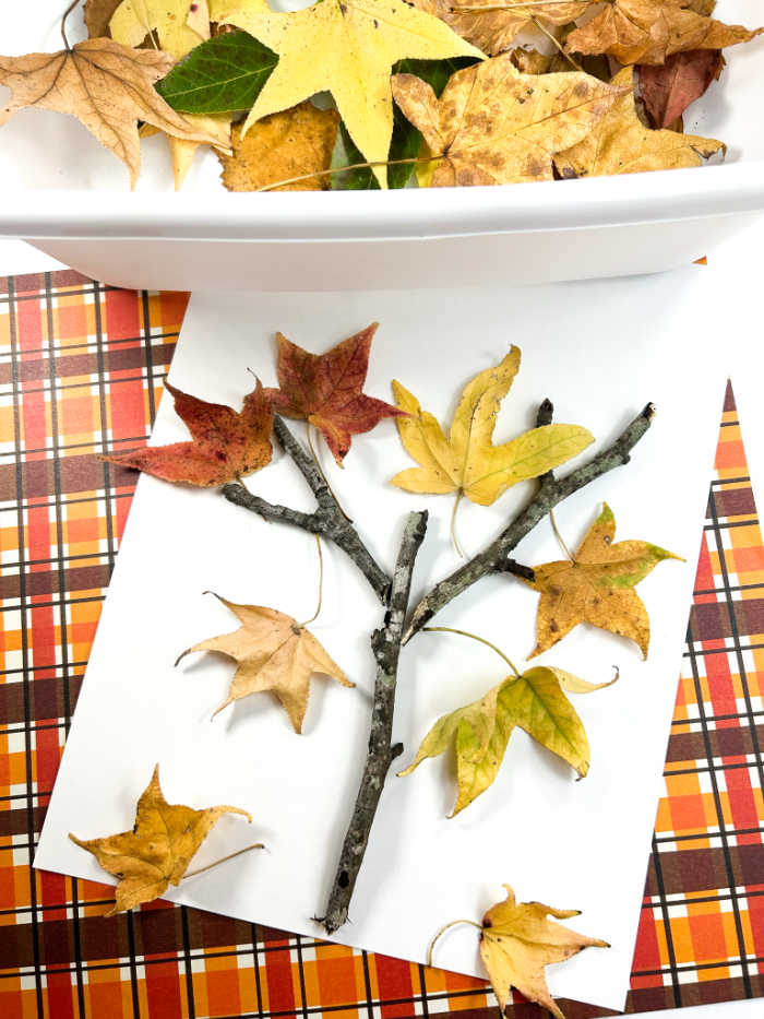 fall leaf tree craft - perfect for preschoolers, toddlers and kindergarten
