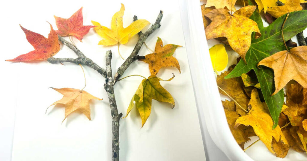completed leaf tree craft next to bin of fall leaves