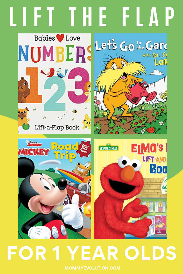 Lift the Flap Books for 1 Year Olds - Mommy Evolution