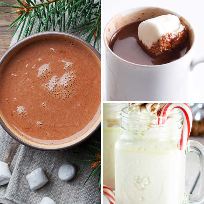 homemade hot chocolate recipes