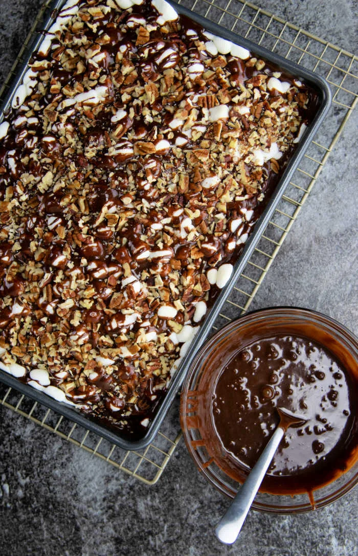 Mississippi Mud Cake