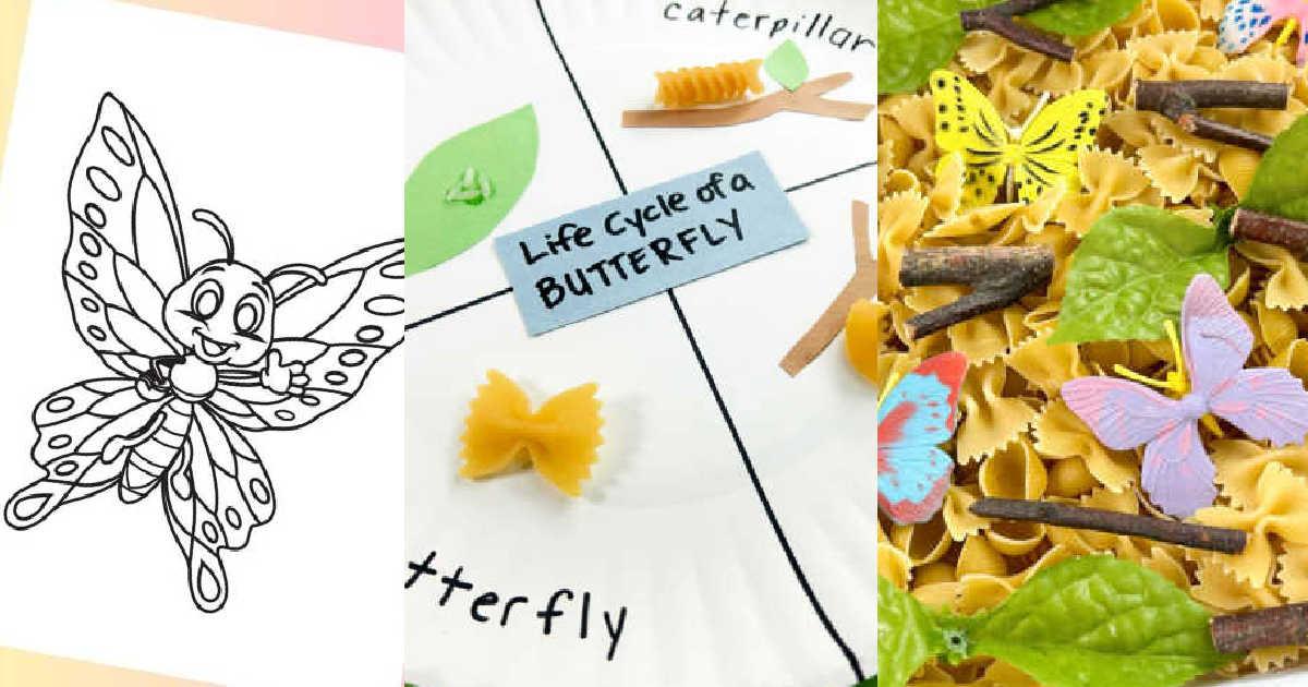 Butterfly Activities for Kids - Mommy Evolution