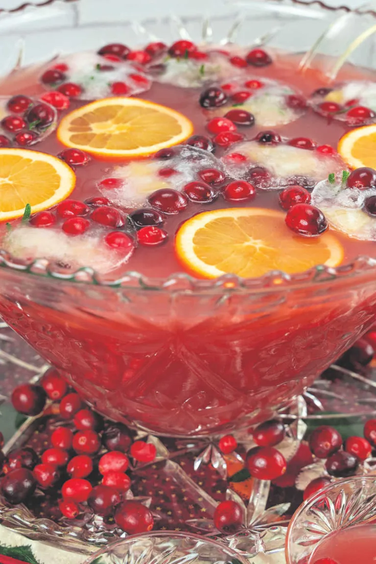 Christmas Party Punch Recipe