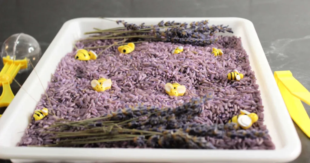 This lavender sensory bin combines calming aromatherapy, tactile fun and imaginative play for a relaxing and engaging activity kids and parents can enjoy together.
