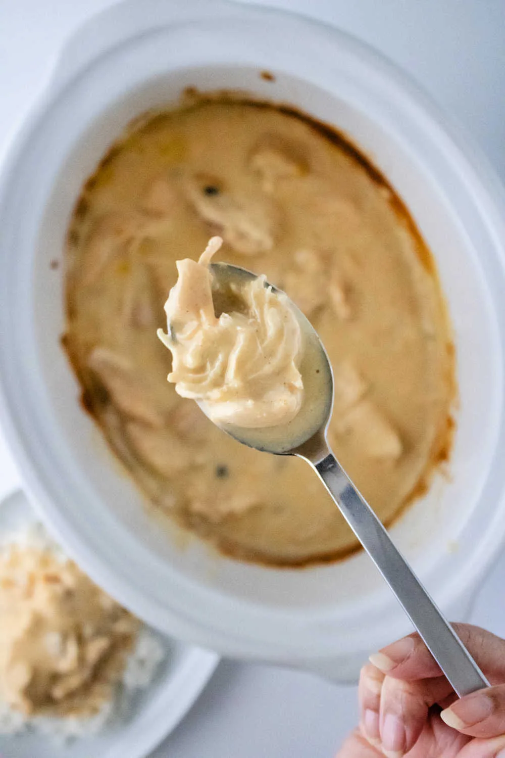 Crock Pot Creamy Chicken