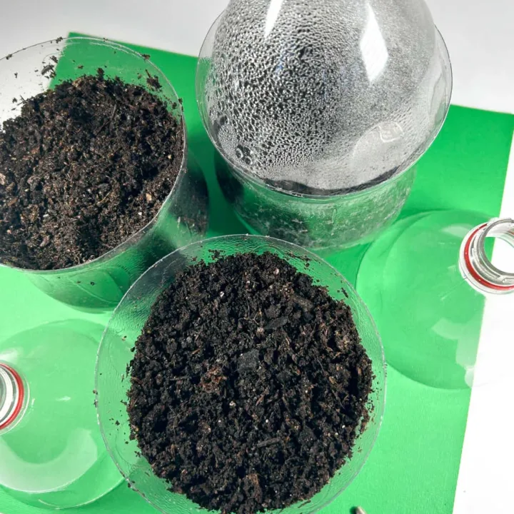 Image for Soda Bottle Greenhouse