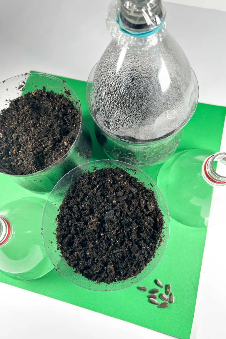 Soda Bottle Greenhouse