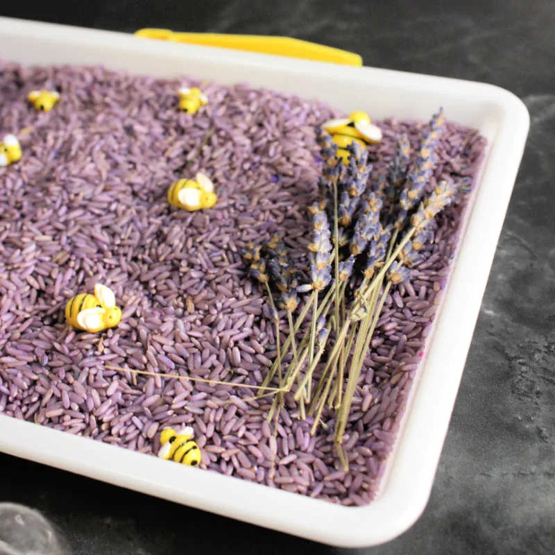 Activities extend the Lavender Sensory Bin while supporting sensory exploration, fine motor skills, creative play and early learning concepts.