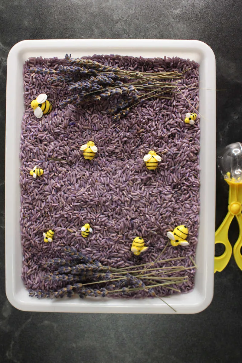 Lavender Sensory Bin for Kids