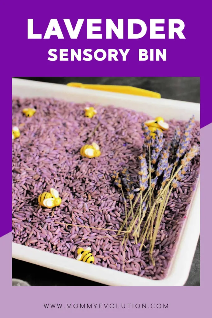 Bring a calming, colorful twist to sensory play with this Lavender Sensory Bin, designed to engage sight, smell and touch. 